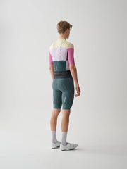 Level Team Bib Evo